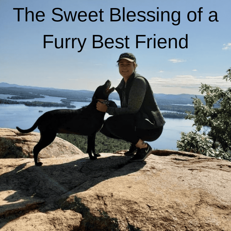 The Sweet Blessing of a Furry Best Friend