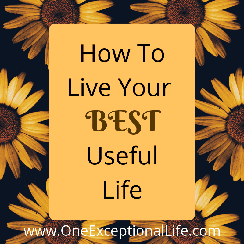 How To Live Your Best Useful Life