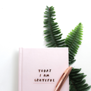white backgrund, white gratitude journal, gold pen, green fern