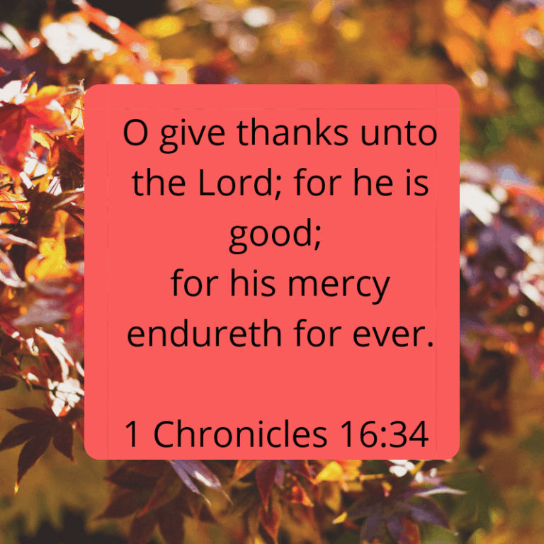 gratitude scripture