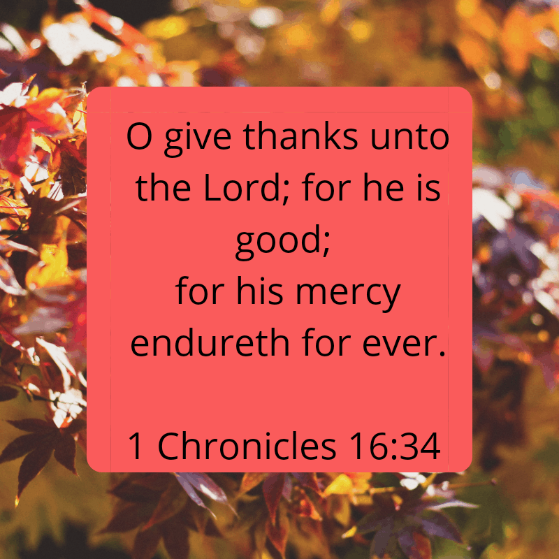 Gratitude: Why counting your blessings is so important