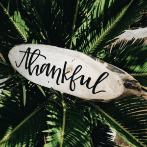 thankful sign hanging in fern leaves