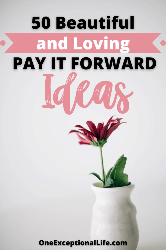 pay it forward ideas, red daisy in vase