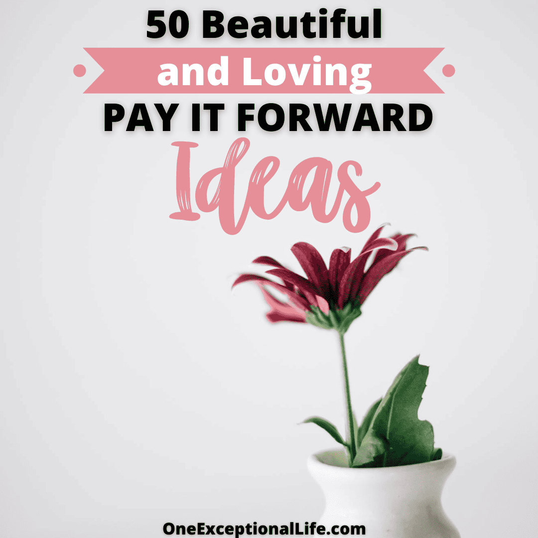 pay it forward ideas, red daisy in vase