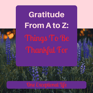 blue flowers, purple box, gratitude from a to z: things to be thankful for, one exceptional life