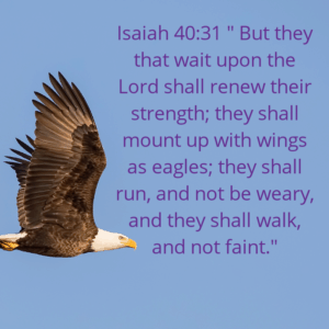 eagle flying against a blue sky, Isaiah 40:31 Do you need encouragement?