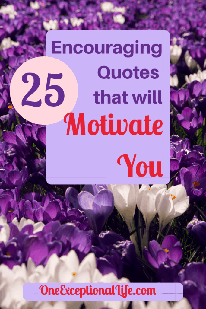 Field of purple and white flowers, 25 encouraging quotes that will motivate you, oneexceptionallife.com