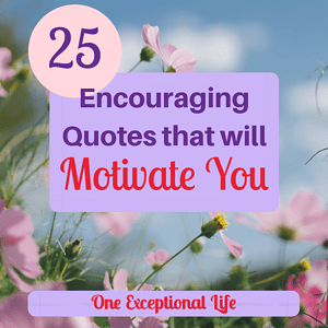 Field of pink and yellow flowers, 25 encouraging quotes that will motivate you, oneexceptionallife.com