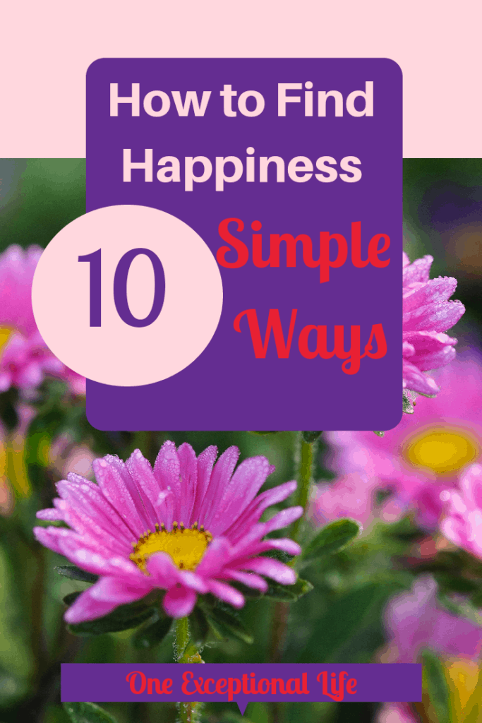 pink daisies, how to find happiness, 10 simple ways, one exceptional life