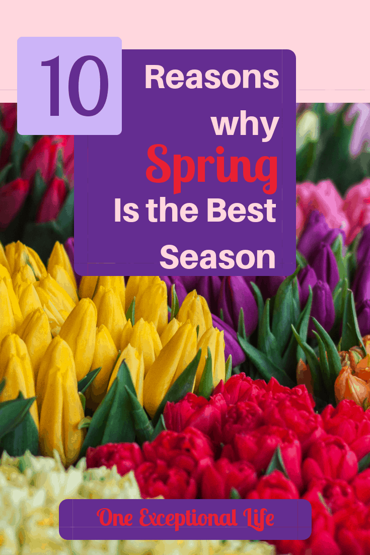 10 Reasons Why Spring Is The Best Season After A Long Winter