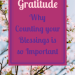 pink flowers on branches, gratitude, why counting your blessings is so important, one exceptional life