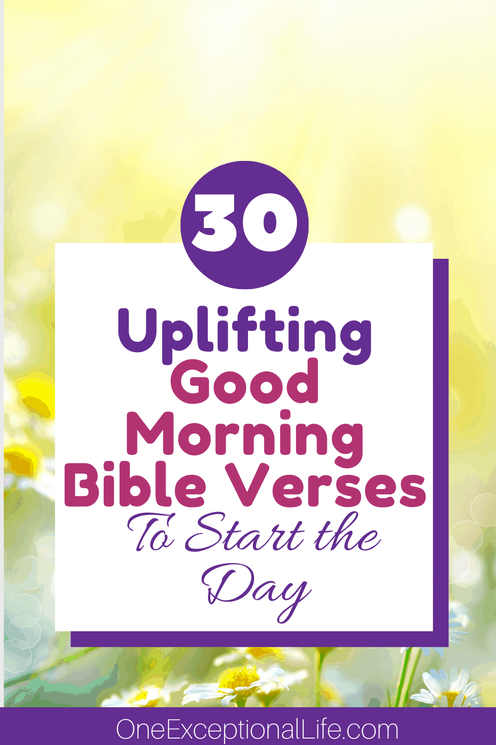 30 Uplifting Good Morning Bible Verses To Start The Day 