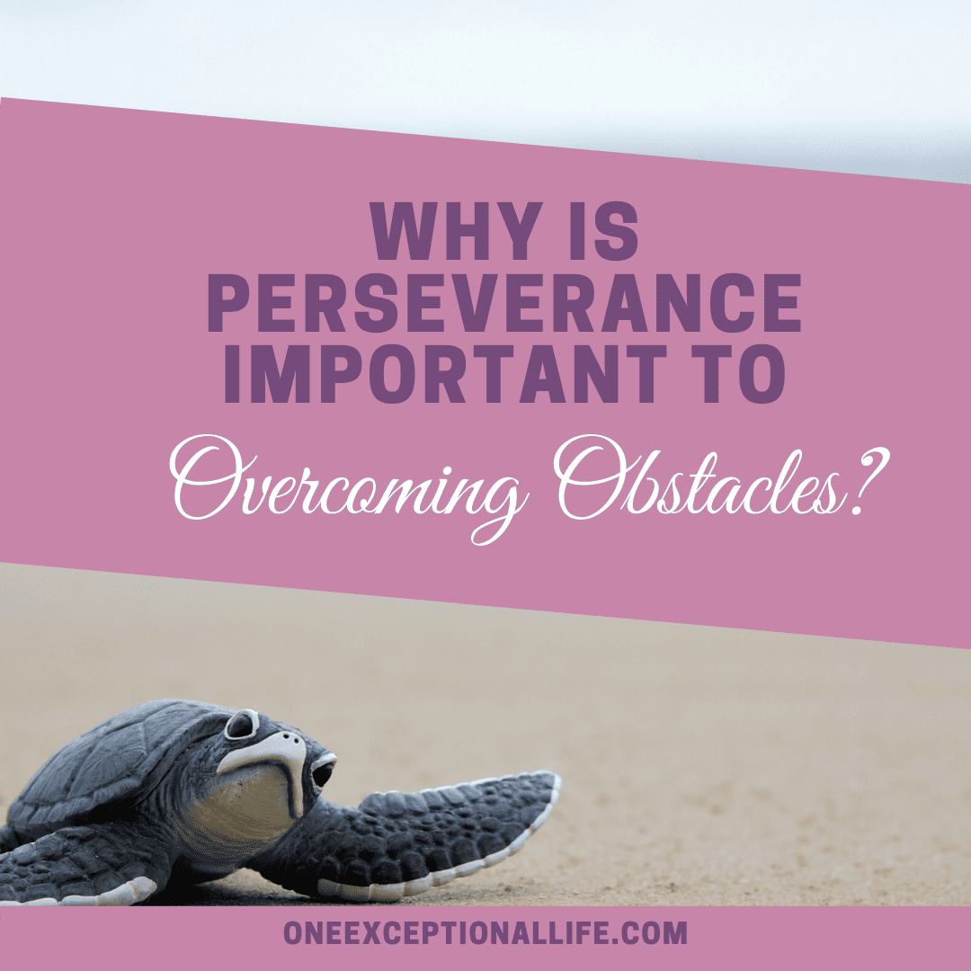 Why Is Perseverance Important In Overcoming Obstacles