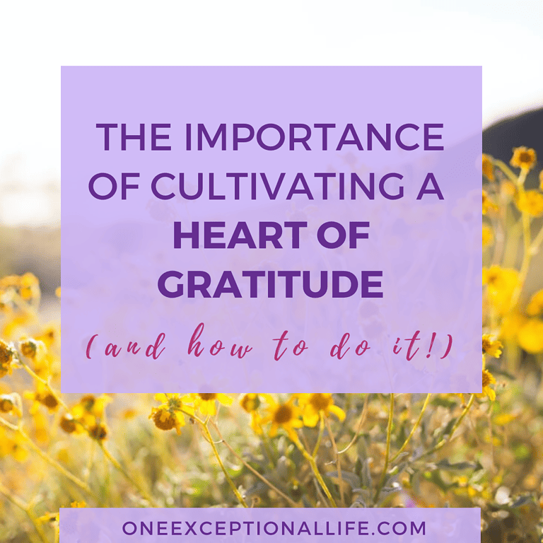 The Importance Of Cultivating A Heart Of Gratitude And How To Do It 9088