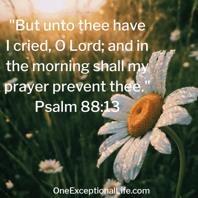 30 Uplifting Good Morning Bible Verses To Start The Day