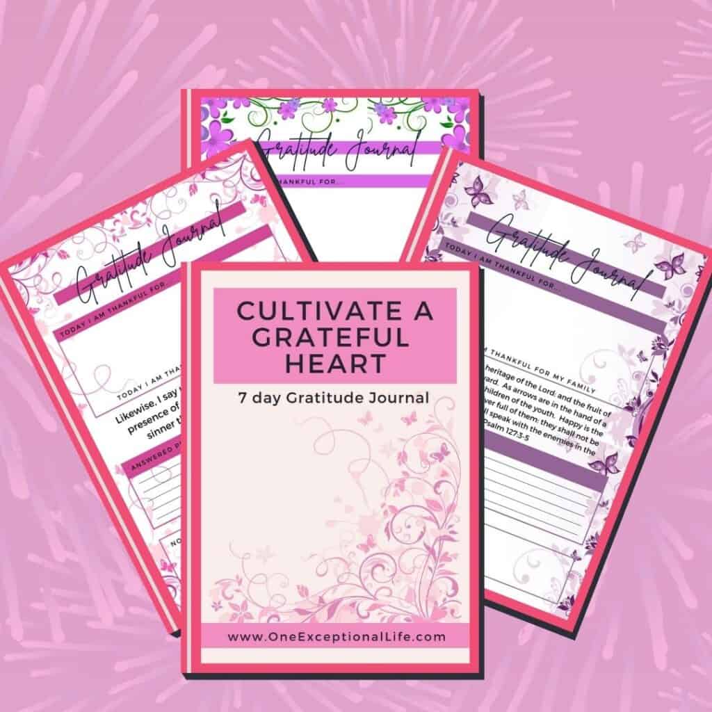 gratitude journal printables image, pink