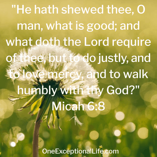 30 Uplifting Good Morning Bible Verses To Start The Day