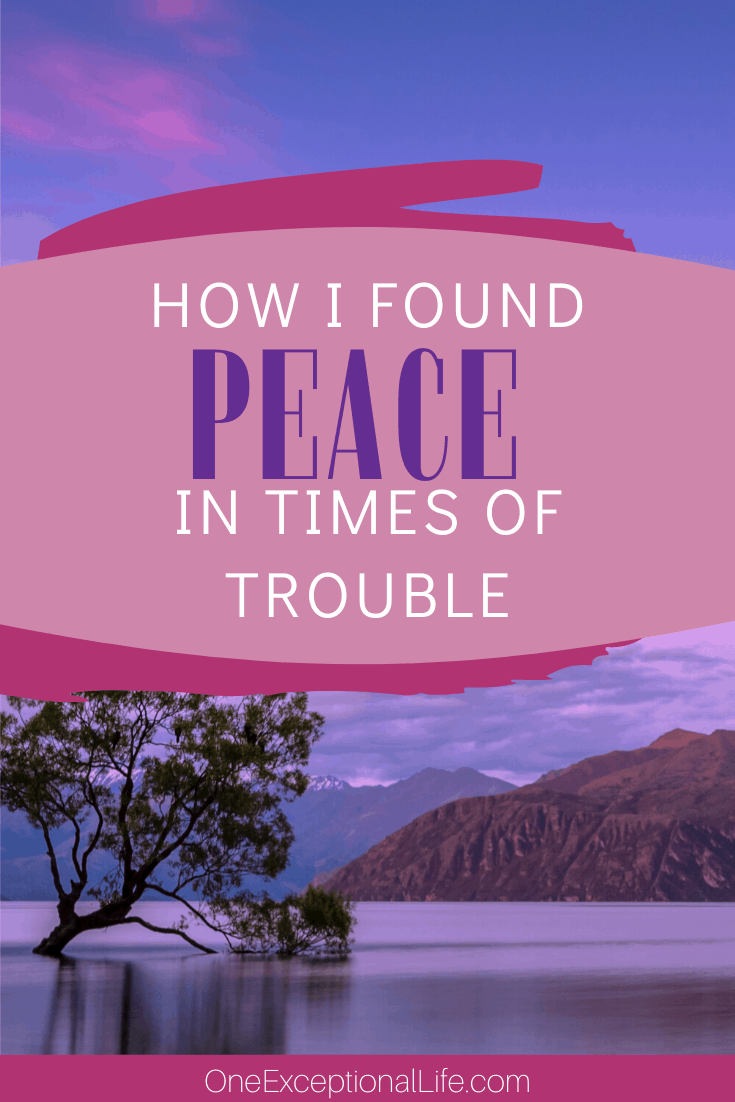 the trouble with peace book