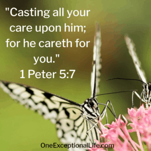butterfly on flower, bible scripture for 1 Peter 5:7, short inspirational bible verses