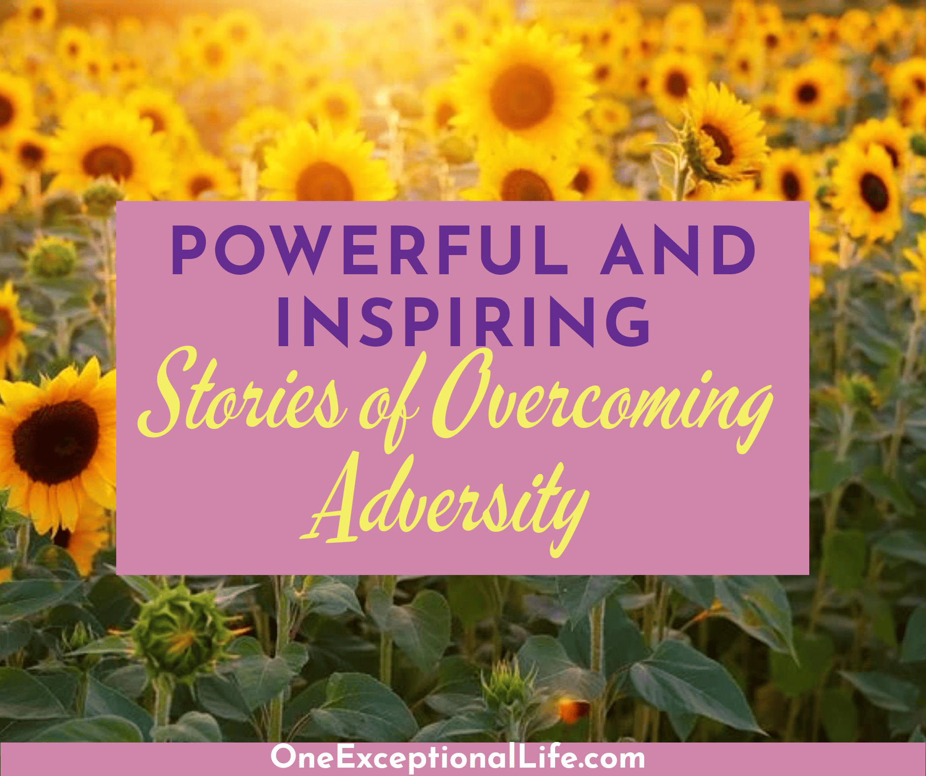 Powerful and Inspiring Stories of Overcoming Adversity