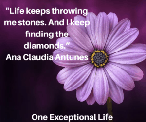 purple daisy, life keeps throwing me stones quote