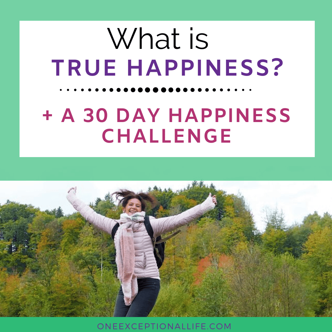 What is True Happiness? ( + A 30 Day Happiness Challenge)