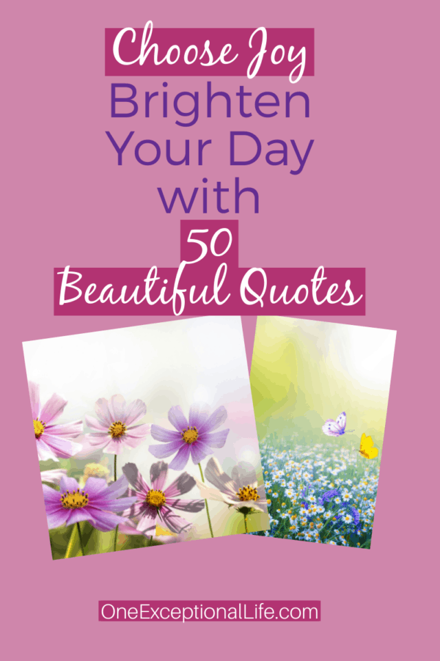 pink background, purple flowers, blue flowers, choosing joy quotes