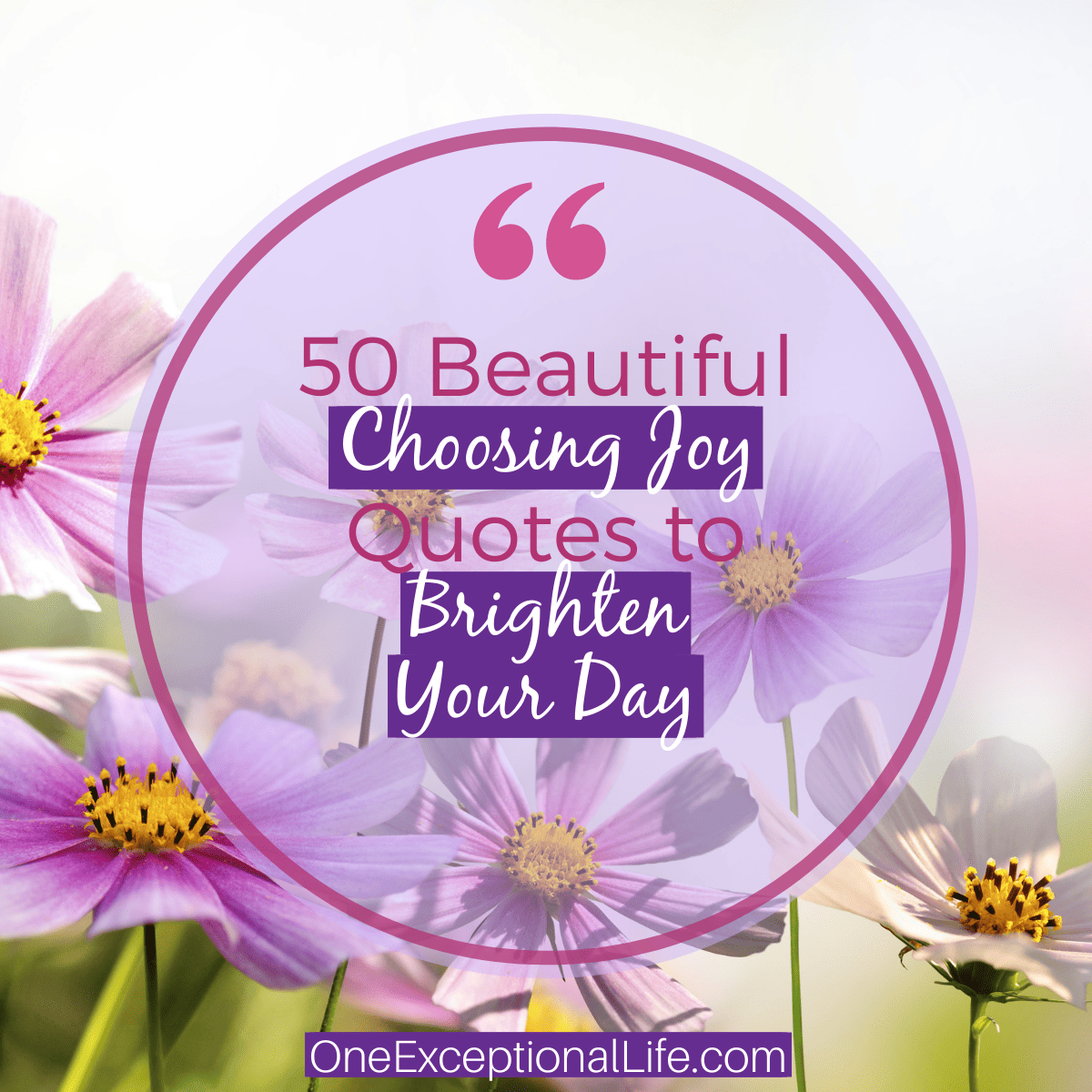 purple flowers, circle overlay, choosing joy quotes