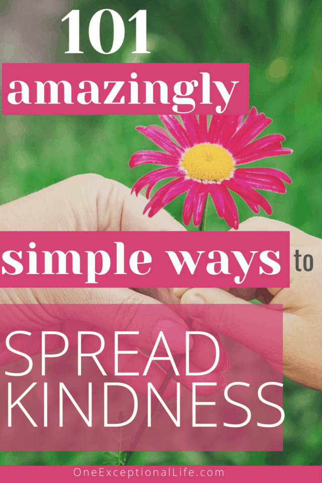 child giving pink flower to adult, spread kindness