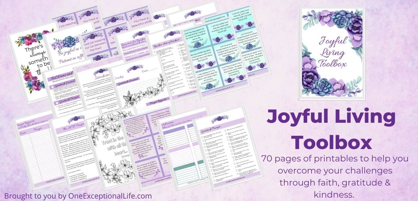 joyful living toolbox graphic