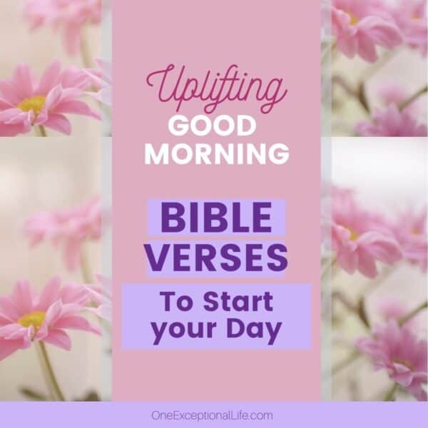 morning scriptures to start your day