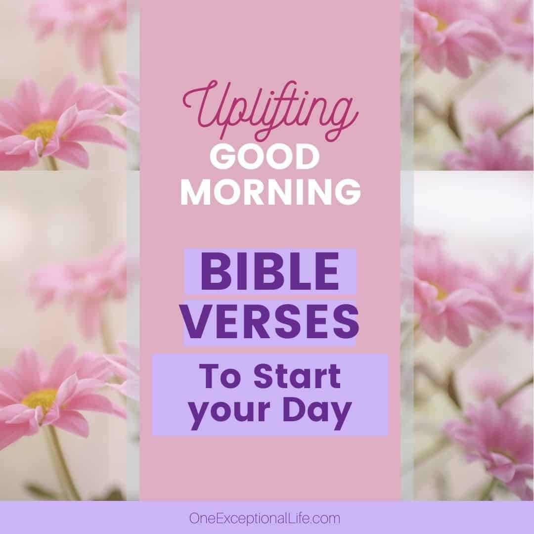 pink flowers, good morning verses to start the day
