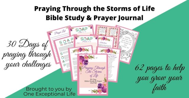 praying through the storms banner. Pink mockups and green background