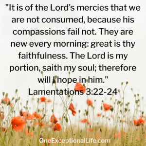 orange flowers, bible scripture for Lamentations 3:22-24, inspirational bible verses for the morning