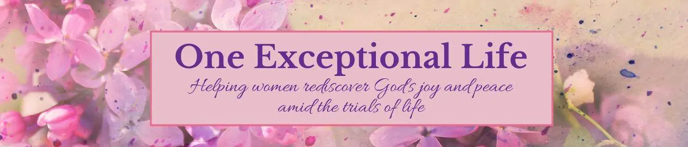 Pink flowers, One Exceptional Life Banner