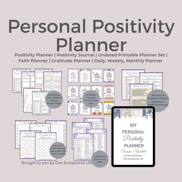 my personal positivity planner overview mockup