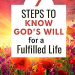 sunrise over a wildflower field, 7 steps to know God's will