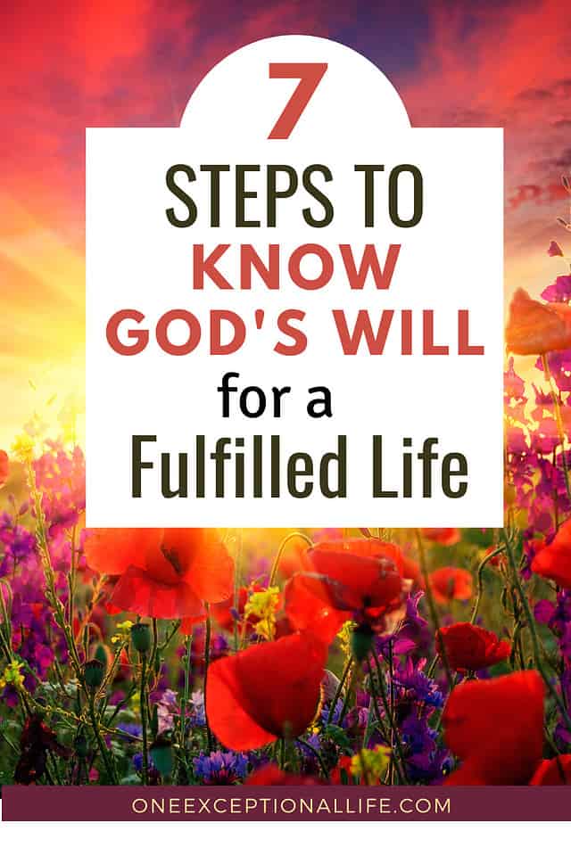 sunrise over a wildflower field, 7 steps to know God's will